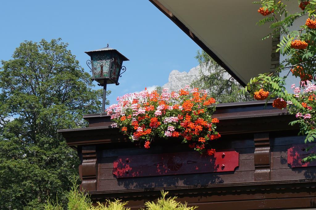 Pension Dachsteinhof Ramsau am Dachstein Ngoại thất bức ảnh